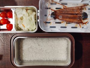 2段式炊飯器 鰻丼